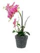 A & B Home Pink Real Touch Vanda Orchid with Cement Pot-4