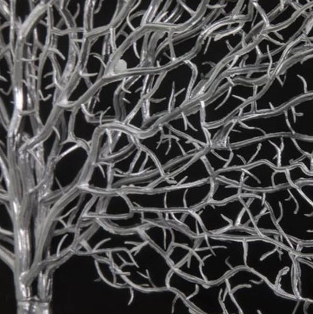 YHD Sea Fan Shadow II Wall Art-4