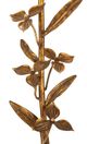 Regina Andrew Trillium Brass Buffet Lamp-4