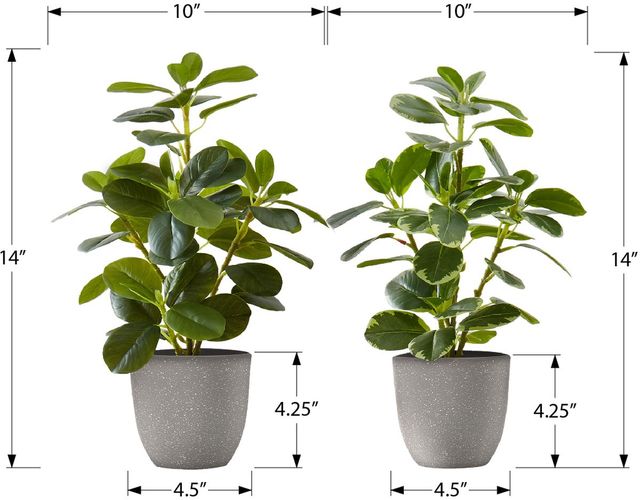 Monarch Specialties Inc. 2-piece 14" Artificial Plant with Pot-2