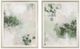 Uttermost® Custom Lilypond 2-Piece Dream Framed Print Art Set-0