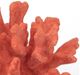 A & B Home Red Inna Faux Elkhorn Coral-5