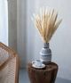 A & B Home Cream Dried Natural Pampas Grass Bundle-4