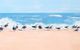 Stylecraft A Sun Beach Day II Wall Art-1