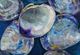 Stylecraft Quahog Wall Art-2