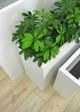 Le Present Betona Box White 24" Planter-3