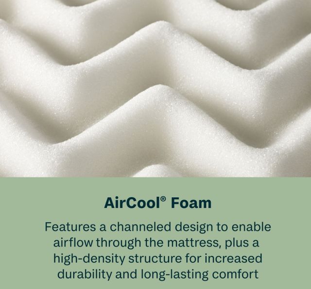 BeautySleep® Soothing Nights 14" Pocketed Coil Plush Tight Top Twin Mattress in a Box-3
