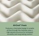 BeautySleep® Soothing Nights 14" Pocketed Coil Plush Tight Top Twin Mattress in a Box-3
