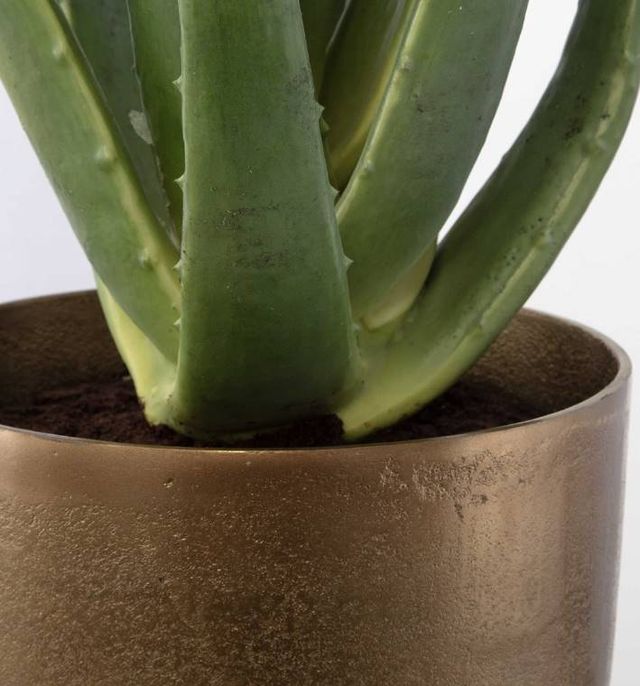 Uttermost® Arabia Antique Brass/Green/Matte Black Aloe Planter-3