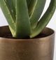 Uttermost® Arabia Antique Brass/Green/Matte Black Aloe Planter-3