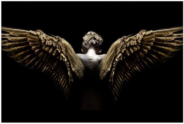 Classy Living Shadow Seraph Wall Art-0