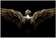 Classy Living Shadow Seraph Wall Art-0