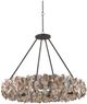 Currey & Company Oyster Shell Natural Chandelier-0