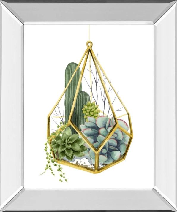 Classy Art Wild Terrarium IV by Grace Popp Wall Art-0