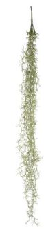 A & B Home Light Green Faux Willow-0