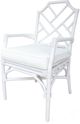 New Pacific Direct Kara White Rattan Dining Chair-0