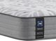 Sealy® Posturepedic® Silver Pine Innerspring Plush Tight Top Queen Mattress-3