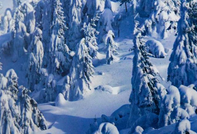 YHD Alpine Landscape Wall Art-3