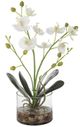 Uttermost® Glory White Orchid-0