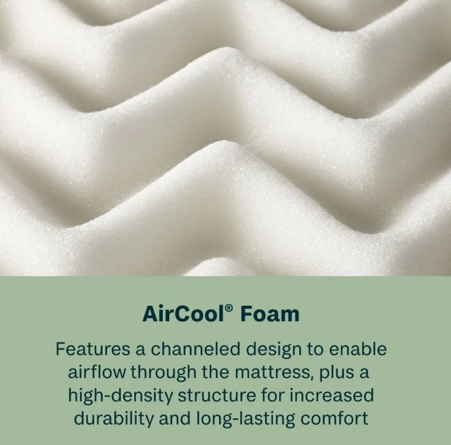 BeautySleep® Soothing Nights 8" Pocketed Coil Medium Tight Top Twin Mattress in a Box-3