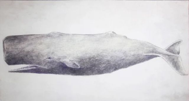 Stylecraft Whale Black/White Wall Art-1