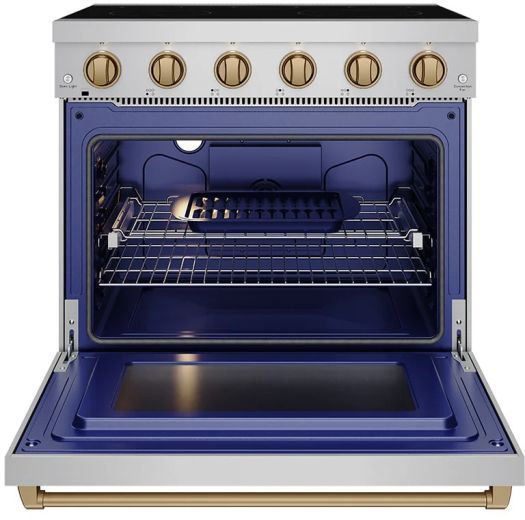 Thor Kitchen® Gordon Ramsay 36" Stainless Steel/Bronze Freestanding Pro Style Electric Range-1