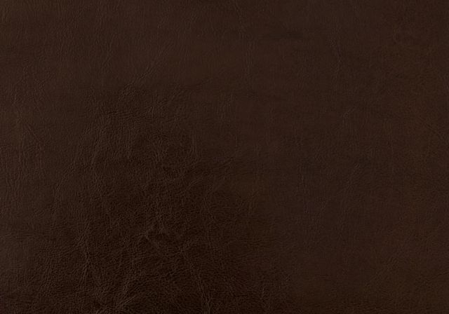 Monarch Specialties Inc. Brown Leather Full Bed-4