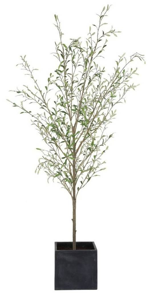 Uttermost® Abundance Charcoal/Green Potted Olive-2