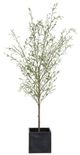 Uttermost® Abundance Charcoal/Green Potted Olive-2