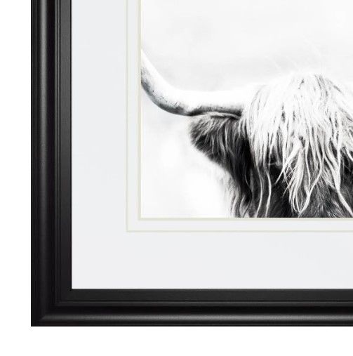 Classy Art Longhorn by Danita Delimont Wall Art-1