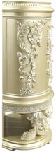 ACME Furniture Vatican Champagne Silver Chest-4