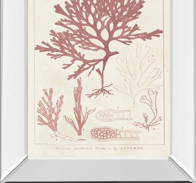 Classy Art Antique Coral Seaweed II by Vision Studio Mirror Framed Wall Art-1
