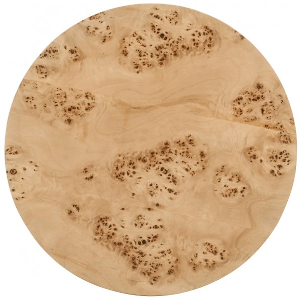 Meridian Furniture Burl End Table - Thumbnail 4