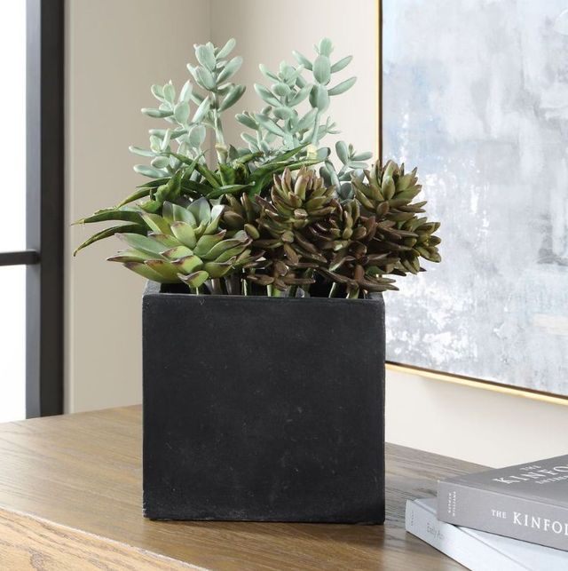 Uttermost® Greystone Green/Matte Black Indoor-Outdoor Succulent-3