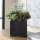 Uttermost® Greystone Green/Matte Black Indoor-Outdoor Succulent-3