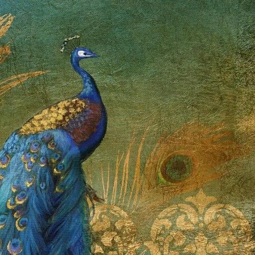 Classy Art Peacock Bliss by Nan Wall Art-1