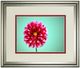 Classy Living Gail Peck Zenia Wall Art-0