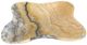 A & B Home Javier Multi-Colored Hand-Carved Zebra Onyx Bowl-0