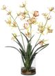 Uttermost® Spider Green/Yellow Orchid-0