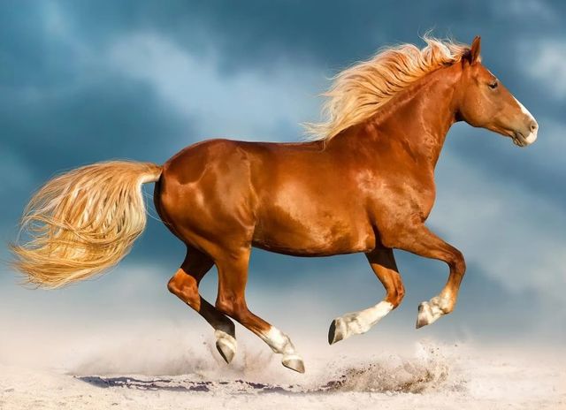 Classy Art Golden Gallop Wall Art-0