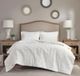 Olliix by Madison Park Arya Ivory Full/Queen Embroidered Medallion Faux Fur Ultra Plush Comforter Mini Set-3