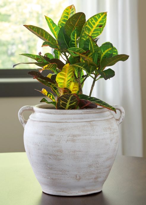 Signature Design by Ashley® Meadie White Vase-3