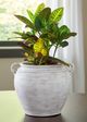 Signature Design by Ashley® Meadie White Vase-3