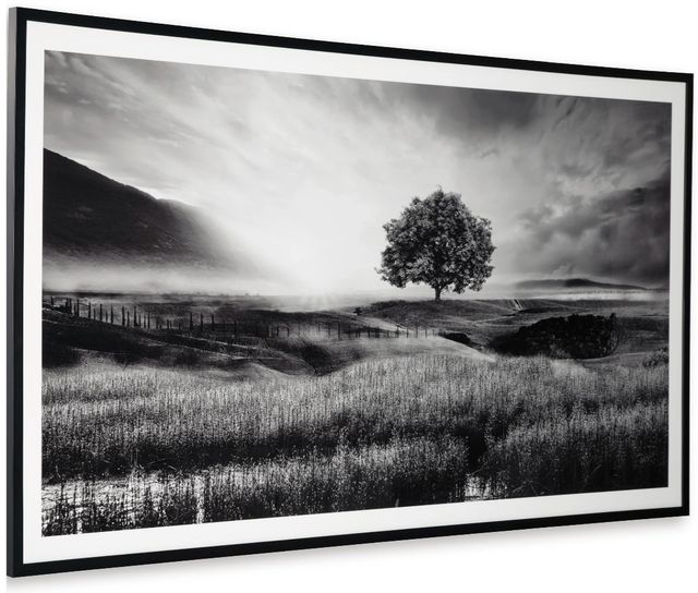 Signature Design by Ashley® Deborland Black/White Wall Art-1