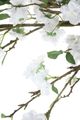 A & B Home White Faux Apple Blossom-2