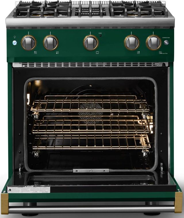 Viking® 5 Series 30" Ivy Pro Style Gas (NG) Range with Brushed Brass Trim-1