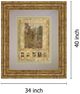 Classy Living Kemp Botany Journal Il 34" Wall Art-2