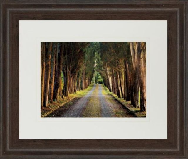Classy Art Brown/Green Tree Tunnel By William Guion and Mossy Oak Native Living Framed Print Wall Art-1