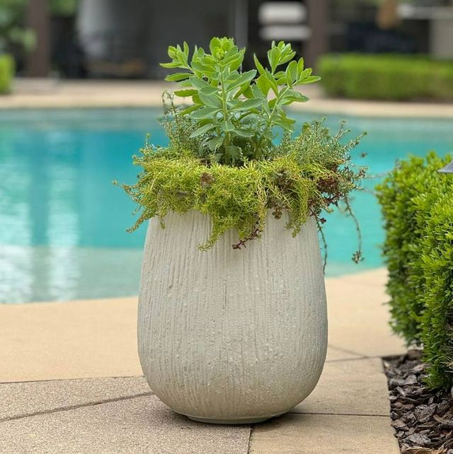 Uttermost® Rustic Ridge Off-White Indoor-Outdoor Planter-1