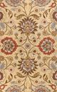 Surya Caesar Beige Multi 5'x8' Area Rug-0